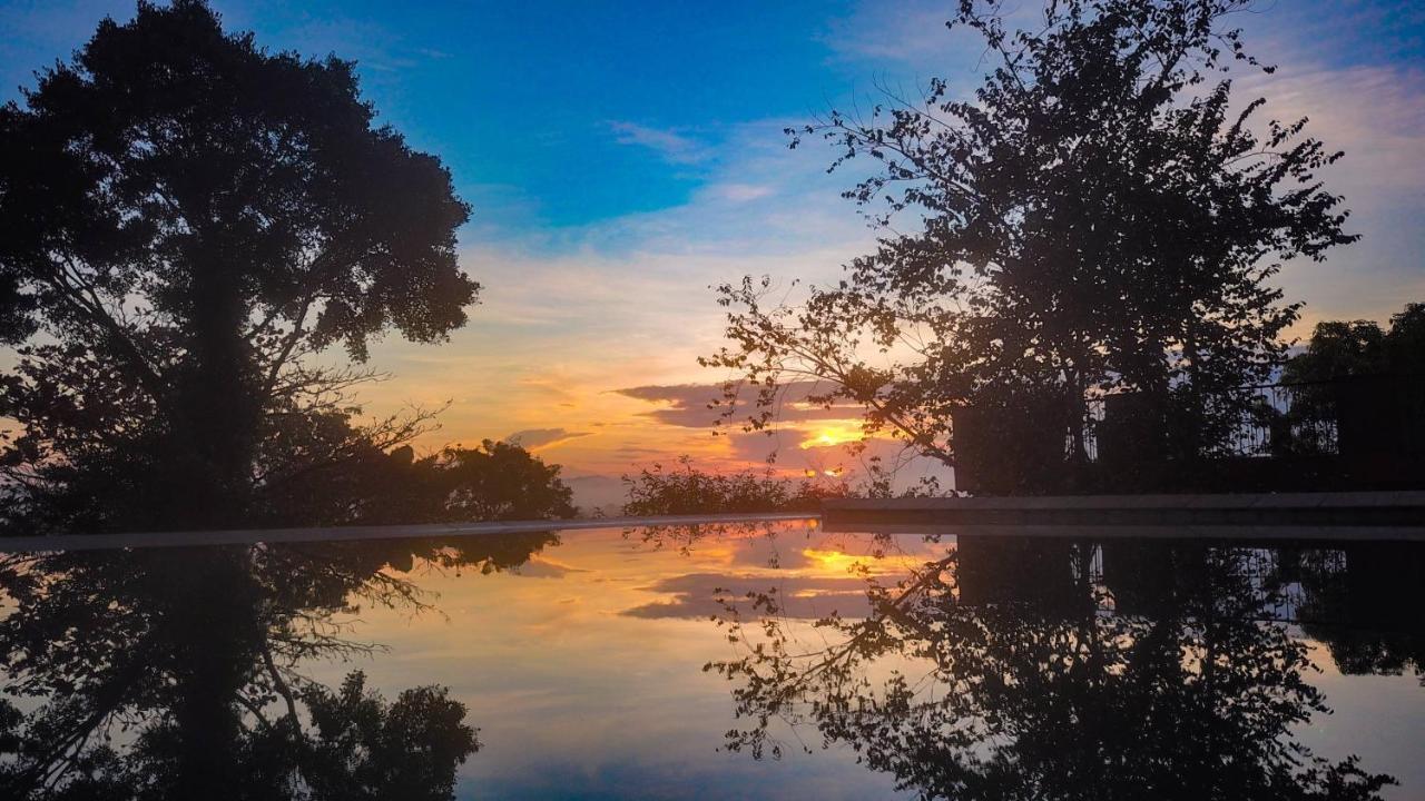 Mangrove Escapes Resort Bentota Exterior foto