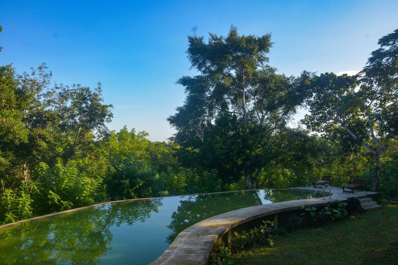Mangrove Escapes Resort Bentota Exterior foto